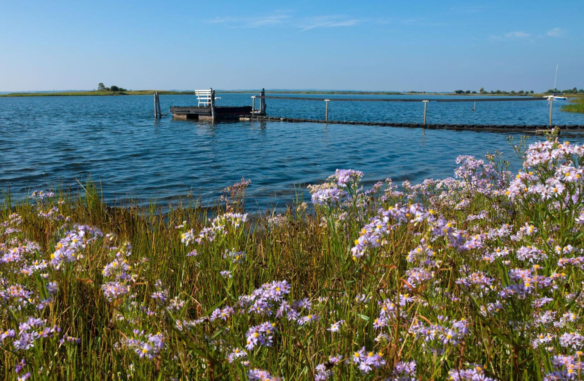 Haus Seeblick Steuerbord Insel Poel Dış mekan fotoğraf